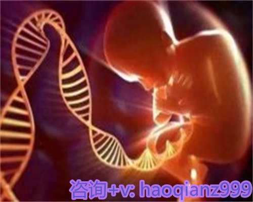 南昌实力助孕机构前瞻：专家解读成功率与技术解析