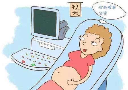 揭秘沈阳代怀时长与流程，泰国助孕与孕期营养指南